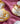 ACR ACR Allura Espressoset 12 Delig | 6 Persoons