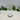 BRICARD PORCELAIN Bricard Eve Longdrinkglazen 6 Delig