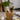 BVR KNOFLOOKPERSER HOUT
