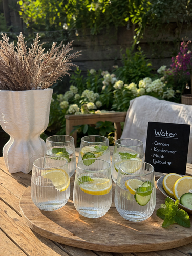 BVR Terra Line Waterglazen cc | 6 Delig