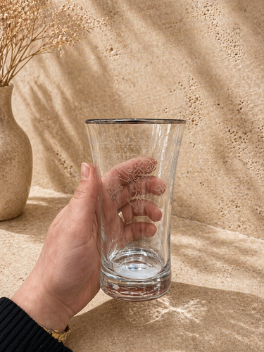 Esco ESCO BUTIK LONGDRINK GLAZEN ZILVER ( 6 DELIG )