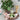 Liman Home Decor - Liman Online RATTAN 25CM DIENBLAD MET HANDVATTEN