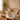 MLX New Cupido Espressoset 12 Delig | 6 persoons ( Chubby - Bondy )