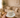 MLX New Cupido Koffieset 12 Delig | 6 persoons ( Chubby - Bondy )