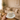 MLX New Cupido Koffieset 12 Delig | 6 persoons ( Chubby - Bondy )