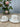 MULEX Espressoset 12 Delig | 6 Persoons Wit
