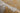 PIERRE CARDIN PIERRE CARDIN ELEGANCE 901 HALI GOLD