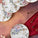 Rosa Collectie