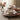 LIMAN New Vintage Serviesset Maroon 24 delig | 6 Persoons - Roze Burgundy