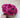 Kunstmatige rozenbloemkoppen – 10 stuks Roze kunstrozen van schuim voor doe-het-zelf bruidsboeketten, tafeldecoraties, bloemstukken, feesten, babyshowers en woondecoratie (met steel, roze).