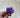 Peper Flower Kunstmatige bloemen – Set van 6 Paars met Steel voor Bruidsboeketten, Tafeldecoratie, Bloemstukken, Feesten, Babyshowers en Woondecoratie