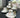 ACR ACR Marfa Espressoset 12 Delig | 6 Persoons