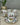 ACR ACR Olivette Espressoset 12 Delig | 6 Persoons Roze