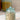 ACR ACR Venis Bewaardoos - 0.65 Liter