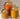 ACR ACR Venis Bewaardoos - 0.65 Liter