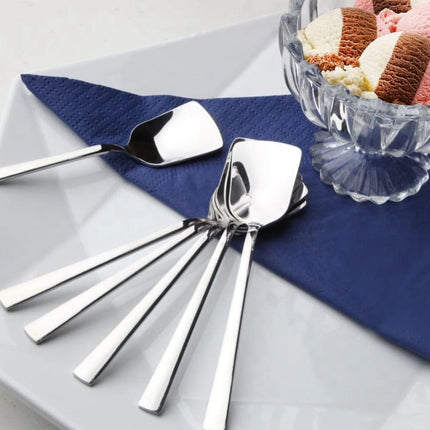 ACR IJSLEPEL ZILVER 6 DELIG