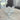 Bavary LINES CHAMPAGNEGLAS 6 DELIG