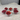 Bavary Zirconia Ripple Schalenset | 6 delig
