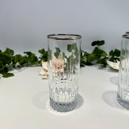 BRICARD PORCELAIN Bricard Celine Longdrinkglazen Zilver 6 Delig