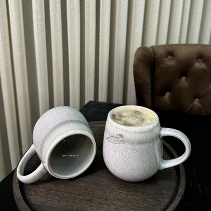 BRICARD PORCELAIN BRICARD EPINE MOKKENSET |  2-DELIG GRIJS