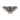 BRICARD PORCELAIN Bricard Rexy Kommenset Zilver 9cm 6 Delig