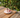 Cherry Espresso Set 12 Pieces | Serves 6