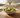 BVR Linea Saladekom Ø23,5 Wit | Cermico