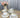 BVR Parel Koffieset 12 Delig | 6 Persoons Wit
