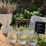 BVR Terra Line Waterglazen cc | 6 Delig