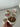 BVR Zirconia / Nordic Beige Schalenset | 6 Delig