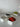 BVR Zirconia / Nordic Wit Schalenset | 6 Delig
