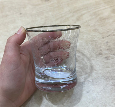 Esco ESCO BUTIK DRINK GLAZEN ZILVER ( 6 DELIG )