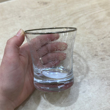 Esco ESCO BUTIK DRINK GLAZEN ZILVER ( 6 DELIG )