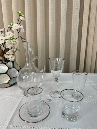 Esco ESCO BUTIK GLAZEN SET MET KARAAF ZILVER 31-DELIG