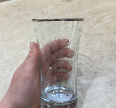 Esco ESCO BUTIK LONGDRINK GLAZEN ZILVER ( 6 DELIG )