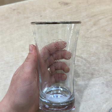 Esco ESCO BUTIK LONGDRINK GLAZEN ZILVER ( 6 DELIG )