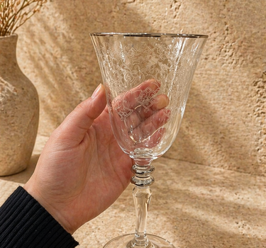 Esco ESCO BUTIK WIJN GLAZEN ZILVER ( 6 DELIG )
