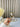 Esco Esco Yasemin Gold Theeset 12 Delig | 6 Persoons
