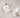 KARACA Karaca Home Lossi Offwhite-Beige  Handdoek set 4 Delig