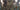Liman Home Decor - Liman Online 6 -Armig  KroonLuchter 5501 GN