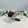 Liman Home Decor - Liman Online Istanbul Patisserie Met Voet Zilver