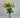 Liman Home Decor - Liman Online Prestige Vaas Transparant