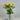 Liman Home Decor - Liman Online Prestige Vaas Transparant
