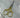 Liman Home Decor - Liman Online Verlovings Schaar Goud