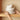 LimanOnline.com - Liman Home Decor Karaca Earth Collection Rise 55-delige 12-persoons Serviesset, Cream ( ALLEEN AFHALEN )