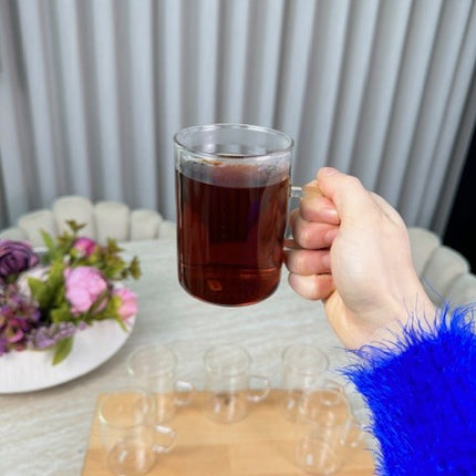 MLX Borosilicaat Theeglas 6 Delig | 260 ML