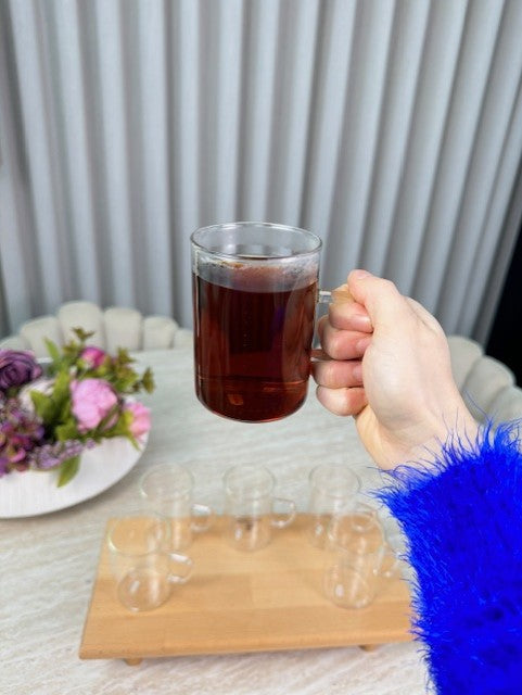 MLX Borosilicaat Theeglas 6 Delig | 260 ML