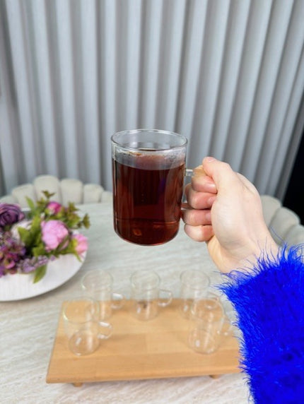 MLX Borosilicaat Theeglas 6 Delig | 260 ML