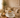 MLX New Cupido Espressoset 12 Delig | 6 persoons ( Chubby - Bondy )