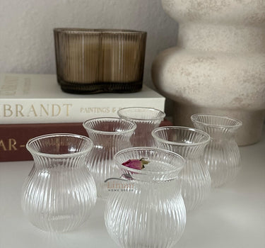 MLX Ribbled Tombik Borosilikat Borrelglas 6 Delig 100 ML